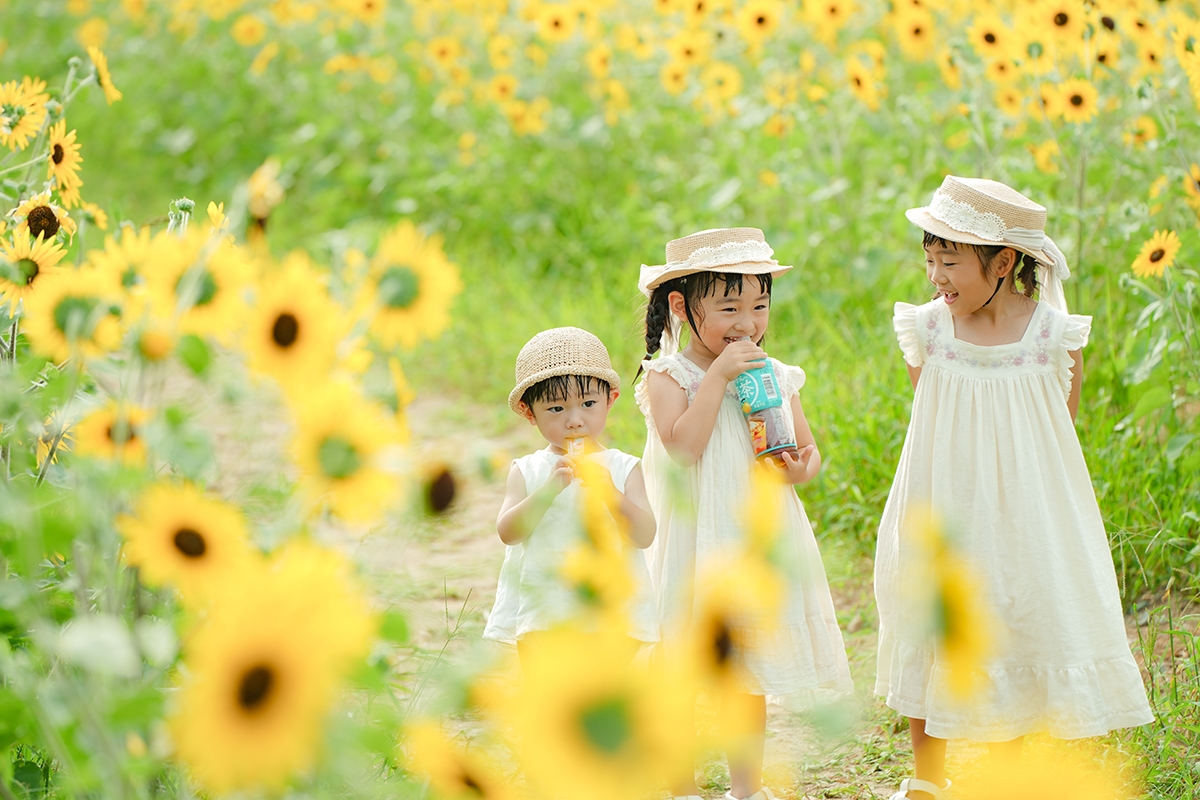 夏の思い出